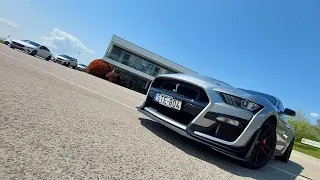 Ford Mustang Shelby GT500 - 2022 /POV/