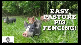 How To Train Pigs To Electric Fence - SIMPLE Set-up That Works