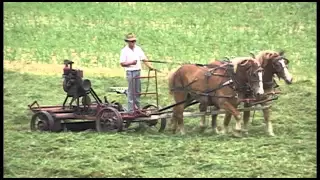 Amish Survive clip