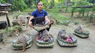 Process Making a Winter Bed for 5 Puppies - Handmade bamboo basket weaving