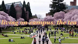 What It’s Like Living On-Campus Your Freshman Year | University of Washington