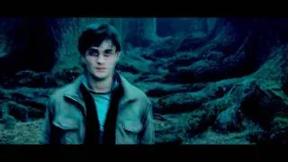 Harry Potter - "I open at the close"