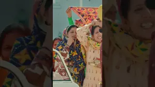 Punjabi Comedy