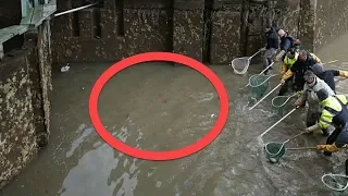 When Authorities Drained This 200 Year Old Canal, What They Found At The Bottom Was Extraordinary