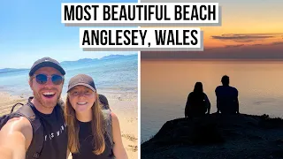 The Most Beautiful Beach in Wales! Jellyfish, Puffins & Sunset (What to do in Anglesey, Wales)