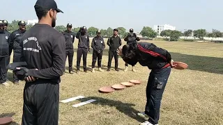 Hand and Head Breaking Technique  Basic Self Defence Course