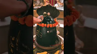 Shiv mara ha #mahadev  #harharmahadev #shorts #viral #jaishreeram  ma shiv ka hu shiv mara 🥰 #2024