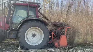 Curatare, defrisare, intretinere terenuri si pasuni de orice tip de vegetatie