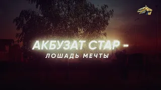 PRO_Лошадей. Акбузат Стар. 23 октября 2022 года. 16:50