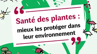 1. Santé des plantes: mieux les protéger dans leur environnement / La protection des plantes