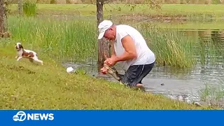 Florida man wrestles puppy from jaws of alligator