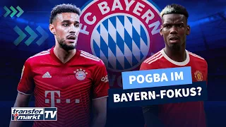 Bayern: Mazraoui bestätigt Wechsel - Wilde Gerüchte um Pogba | TRANSFERMARKT