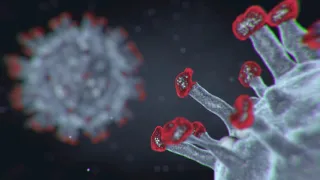 COVID-19 V4 - 3D Animation Background - FREE Download Video Coronavirus / No Copyright (Cinema 4D)
