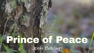 "Prince of Peace" by Josh Baldwin (with lyrics)