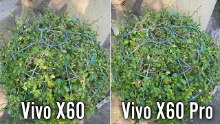 Vivo X60 vs Vivo X60 Pro | Camera Samples | DrTech