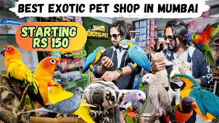 Exotic pet shop in Mumbai | Birds | Cats Macaw & More | Wajid Exotic Pet Shop Mumbai