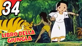 LIBRO DELLA GIUNGLA | Episodio 34 | Italiano | The Jungle Book