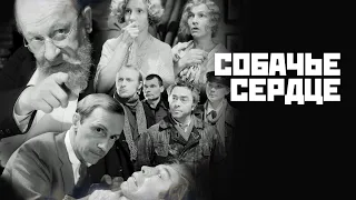 Собачье сердце 💥 1988 год 🎞️ Комедия 👍 Мелодрама