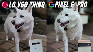 LG V60 vs Pixel 6 Pro Camera Comparison