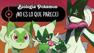 Sprigatito, Floragato y Meowscarada | BIOLOGÍA POKEMON