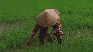 Surprising Vietnam HD