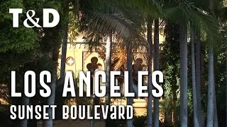Los Angeles City Guide: Sunset Boulevard 🇺🇸 Travel & Discover