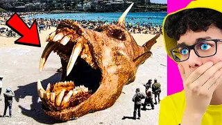 LAS COSAS MÁS EXTRAÑAS EXPULSADAS POR EL OCÉANO EN LAS PLAYAS 😱 (Muy Perturbador)