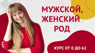 Мужской и Женский Род в Испанском Языке. Урок 4 [Курс Испанского языка]