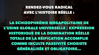 Francis Cousin : La schizophrénie mégapolitaine de l’usine globale universelle...