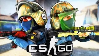 УНИЖАЕМ И ТРОЛЛИМ СИЛЬВЕРОВ С ФИЛИПИНОМ В CS:GO (НАПАРНИКИ КС:ГО)