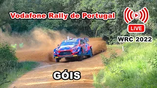 LIVE Rally de Portugal 2022. Góis