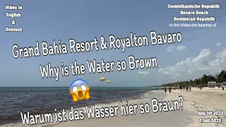 Why is the Ocean brown at the Bahia Resort 😱 Braunes Wasser am Bahia Hotel WAS ist da los?
