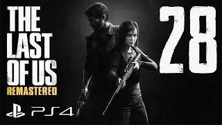 The Last of Us: Remastered прохождение девушки. Часть 28 - Противостояние