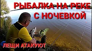 Отличный Клев Леща/Разведал Новое Место/Рыбалка с Ночевкой