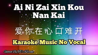 Ai Ni Zai Xin Kou Nan Kai 爱你在心口难开 karaoke mandarin no vocal