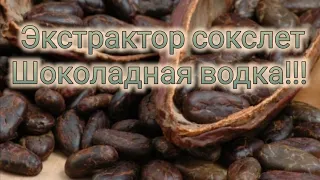 Экстрактор сокслет. Шоколадная водка. Какао водка.