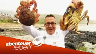 Seafood-Paradies: Dirk Hoffmann auf Meeresfrüchte-Mission | Abenteuer Leben | Kabel Eins
