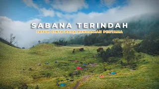 Gunung Butak | Sabana Terindah, Menyesal Baru Mendaki Kesini Sekarang