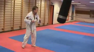 Taekwondo (Jeg Skada Meg)