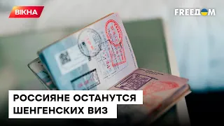 С российским паспортом далеко не уедешь! Гражданам РФ перестанут выдавать шенгенские визы