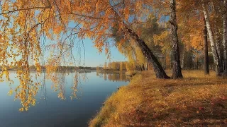 П.И.Чайковский -  Осень.... "Октябрь"- Tchaikovsky  -The Seasons - October