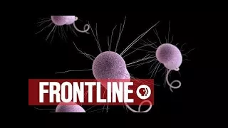 Hunting the Nightmare Bacteria - PBS Frontline PBS Nova :