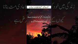 Hazrat Ali (R.A) Quotes |Zindagi Me Khud Ko Kabhi Kisi Insan Ka|Quotes About LIfe |Precious Words