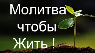 Молитва чтобы Жить !