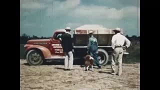 All Together - The Story of a Farm Family in Alabama - CharlieDeanArchives / Archival Footage