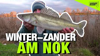 Zander im Winter fangen | Angeln am Nord-Ostsee-Kanal | Tipps und Tricks | Anglerboard TV