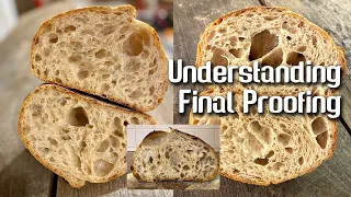 Understanding FINAL PROOFING in sourdough bread making. | by JoyRideCoffee