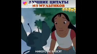 цитаты из мультикоа