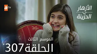 مسلسل الأزهار الحزينة | الحلقة 307 - الموسم الثالث