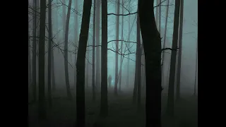 Silent Hill 2 OST Forest Trail Slowed Down with Cold Wind Sound